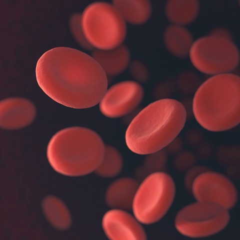 Artist rendering of red blood cells