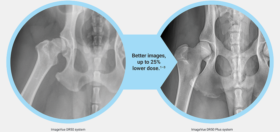 The ImageVue DR50 Plus system has more detailed images with up to 25% lower radiation than previous system.