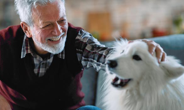 White dog gets pets from person.