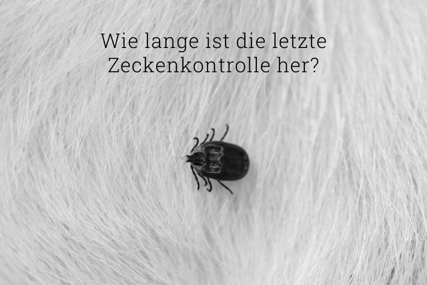 Social media post promoting checking for ticks.