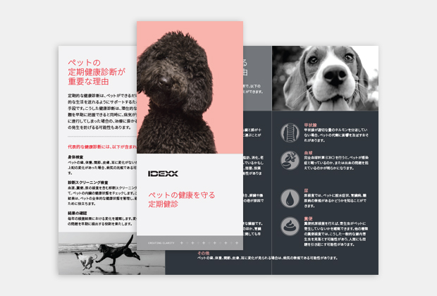Preventive care brochure.