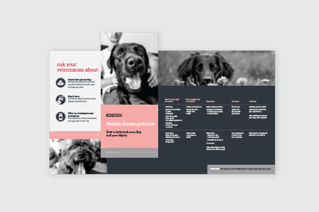 Parasite screening brochure.