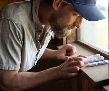 Farmer running Alertys OnFarm Pregnancy test.