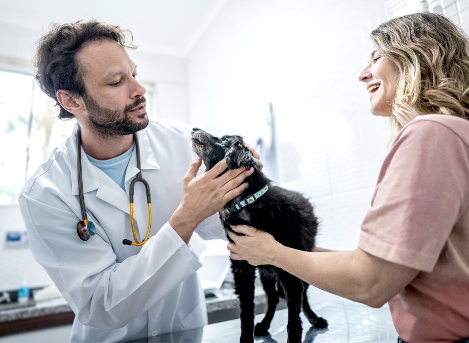 Veterinarian with a dog and it's owner.