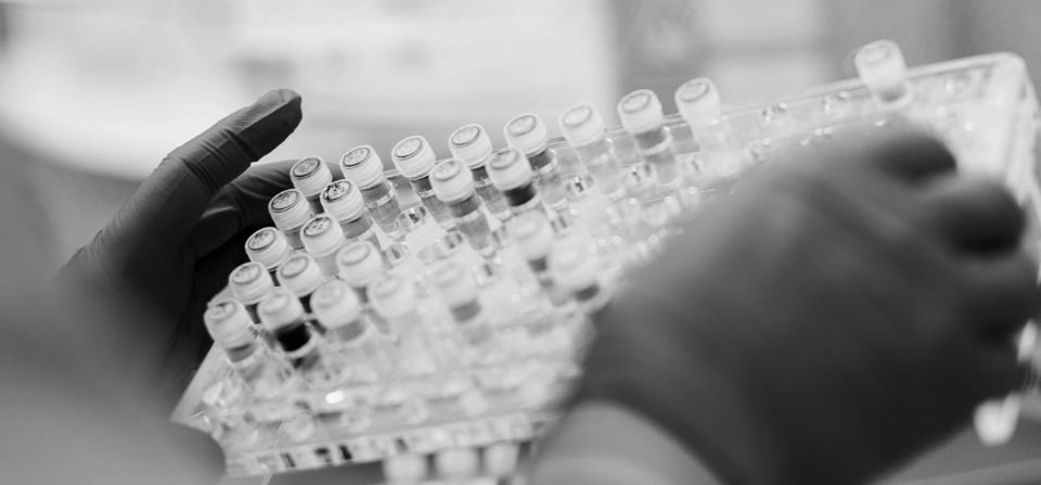 Rack of blood sample tubes, black and white.