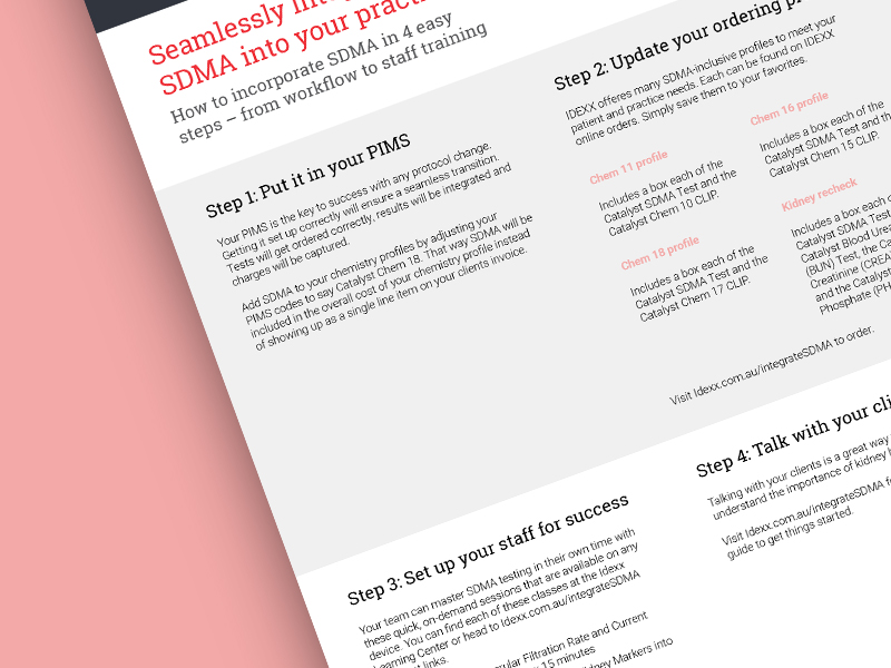 Graphic of SDMA practice guide.