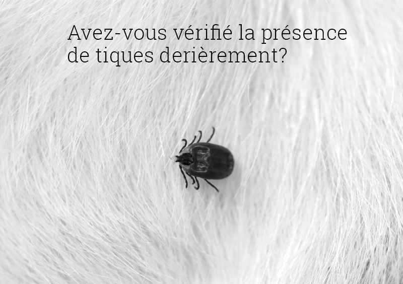 Social media post promoting checking for ticks.