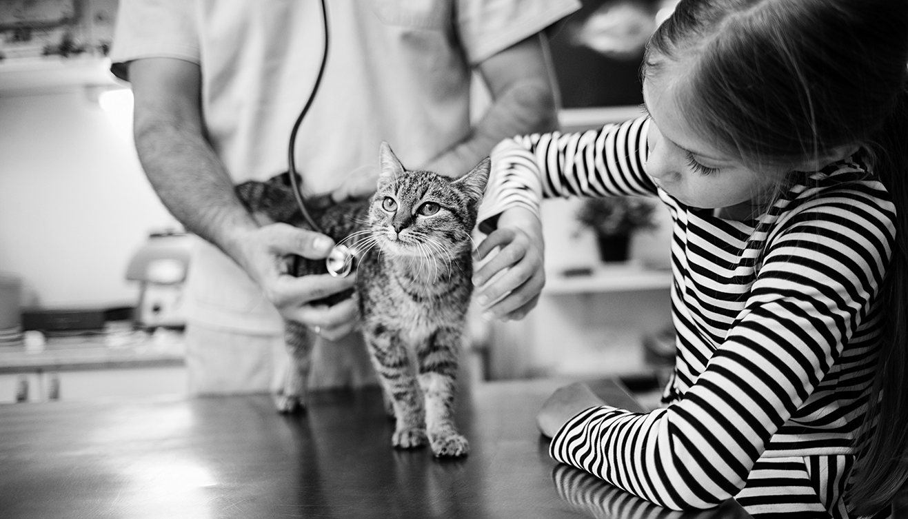 Girl with cat at veterinarian.