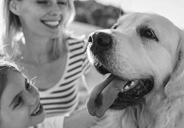Golden retriever with little girl and mom.