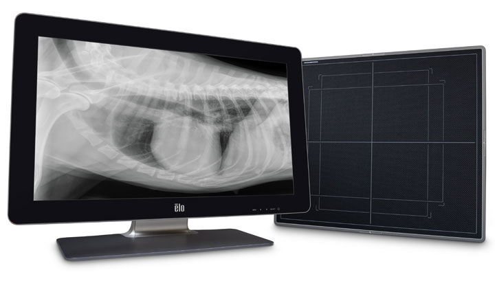 IDEXX ImageVue DR50 and monitor displaying a digital image