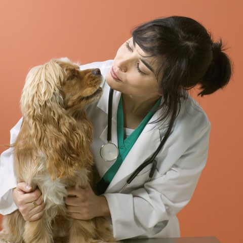 A veterinarian smiling at a dog she is holding on a table.