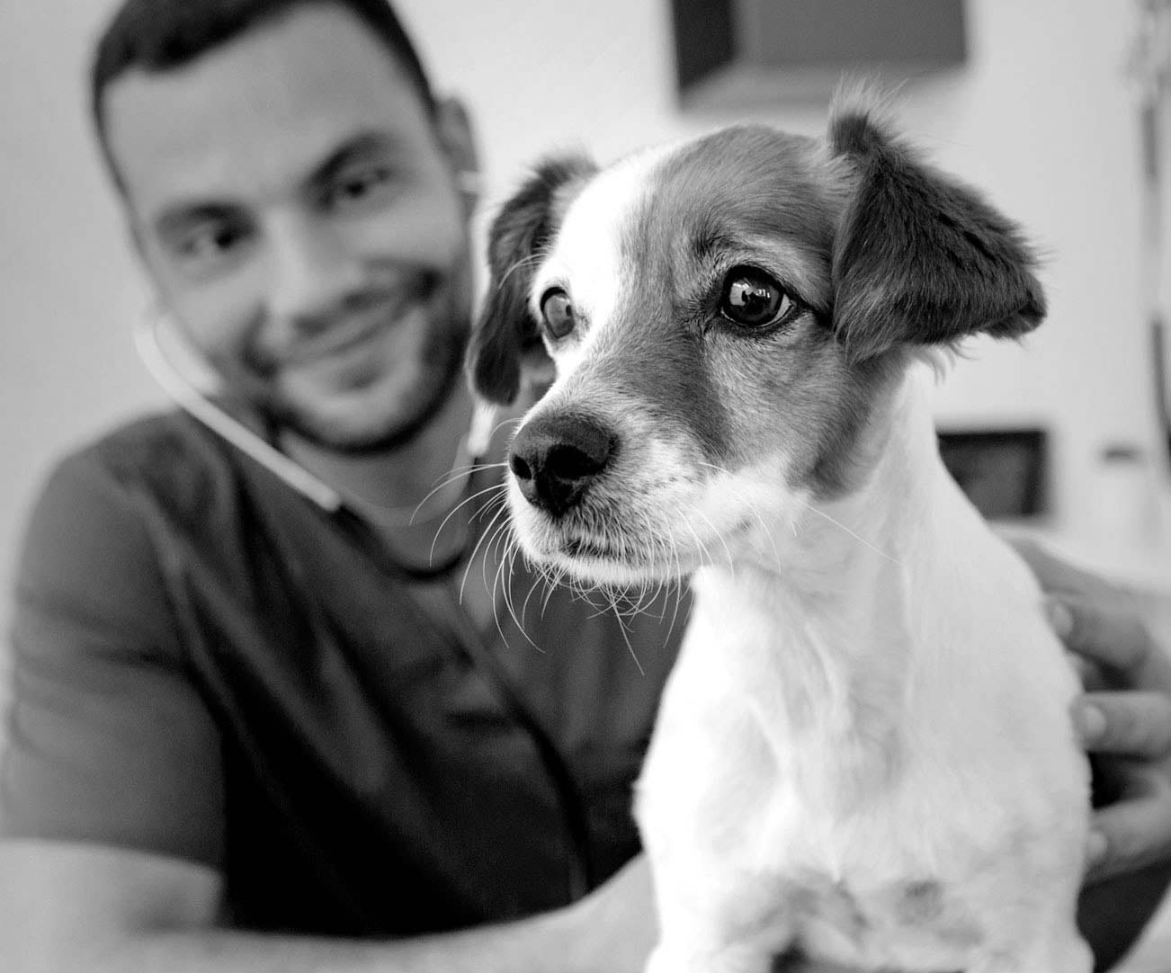 Small dog with veterinary professional in background.