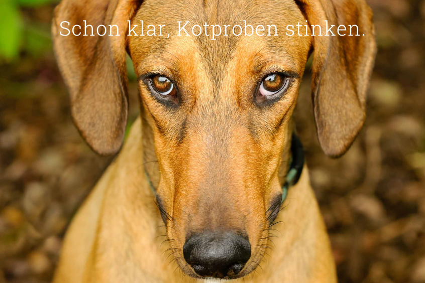 Social media post reading "We get it, poop samples stink".