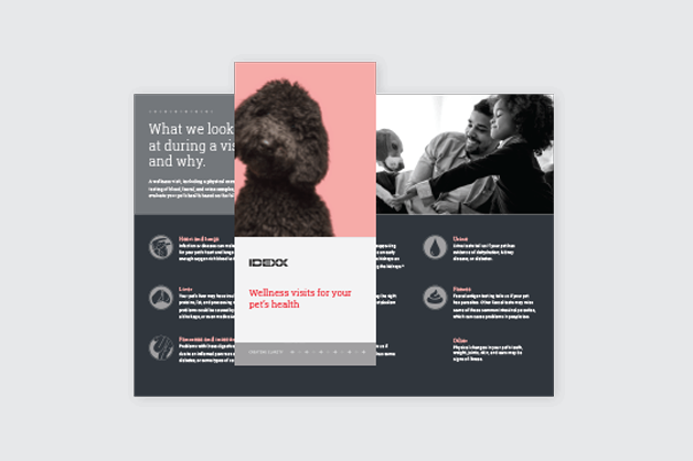 Preventive care brochure.