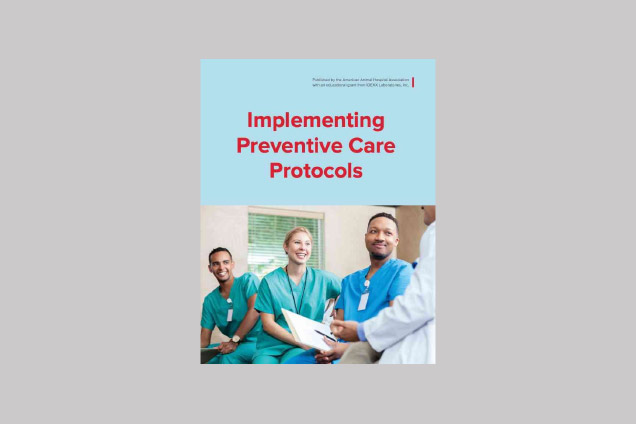 Cover of Implementing Preventive Care Protocols brochure.