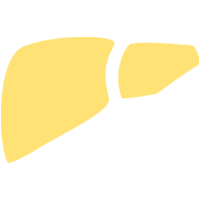 Icon silhouette of the liver