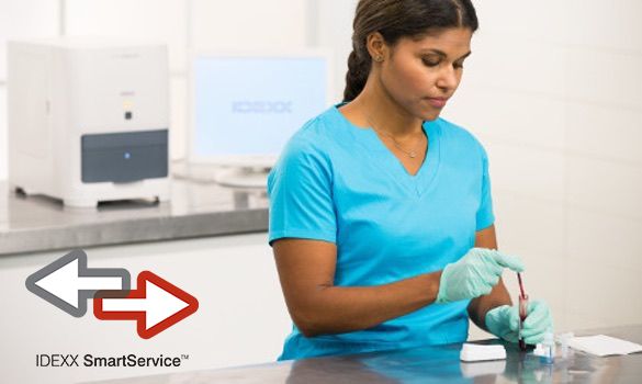 Female veterinarian handling blood sample with IDEXX SmartService logo on the bottom left.