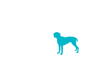 Artist rendering, in silhouette, of 10 cats and dogs