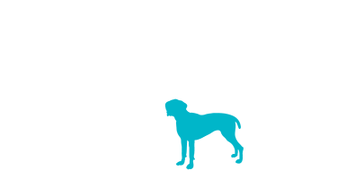 Artist rendering, in silhouette,  of 10 cats and dogs