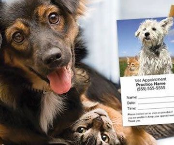 a dog and cat cuddling next to an appointment card