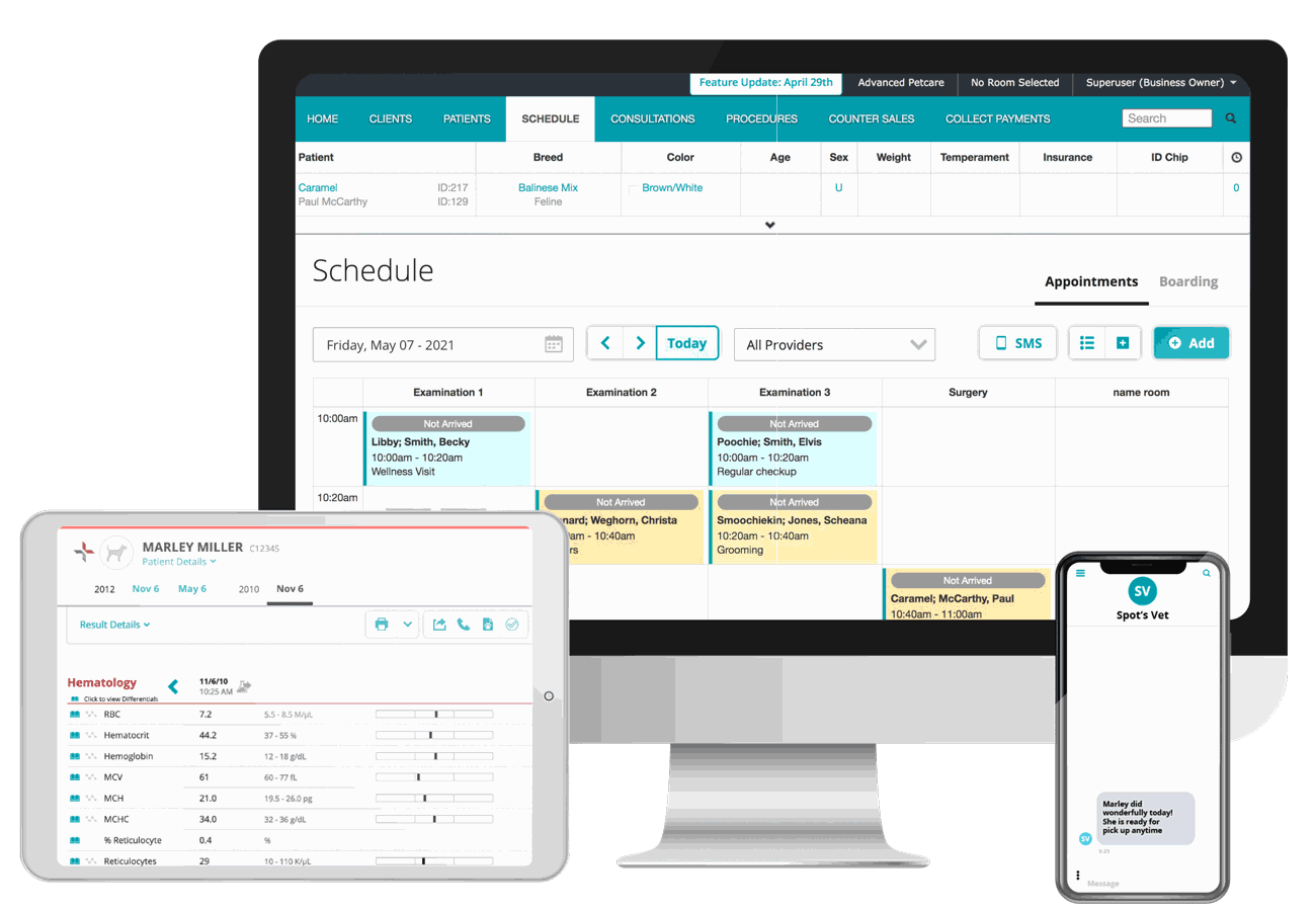 Neo Software in action on desktop, tablet, and phone.