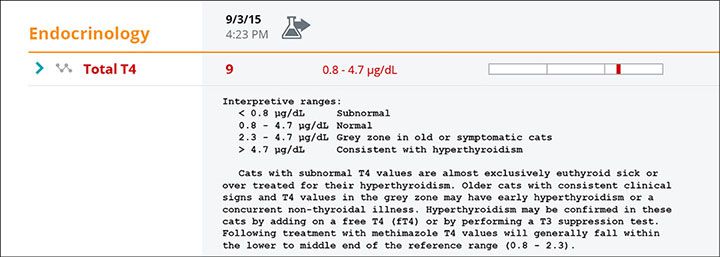 Endocrinology report screenshot for Zeke case study