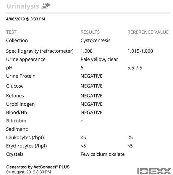 Sydney's urinalysis results on VetConnect PLUS.