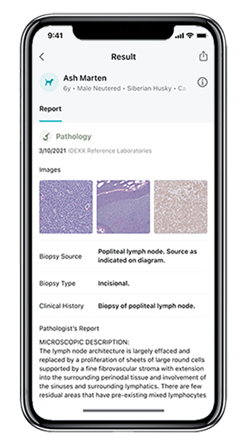 VetConnect PLUS mobile app pathology/cytology report