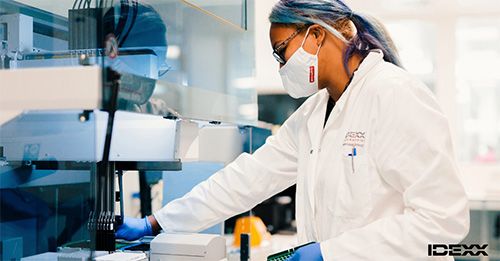 An IDEXX PCR technician.