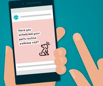 Illustration of a phone displaying a social media post for pet routine wellness visits