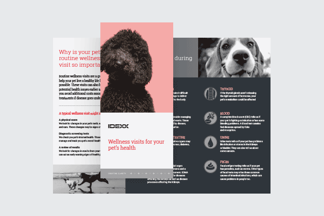 Preventive care brochure.