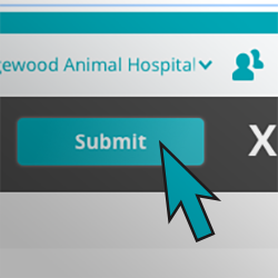 Click submit to send digital cytology images to pathologists