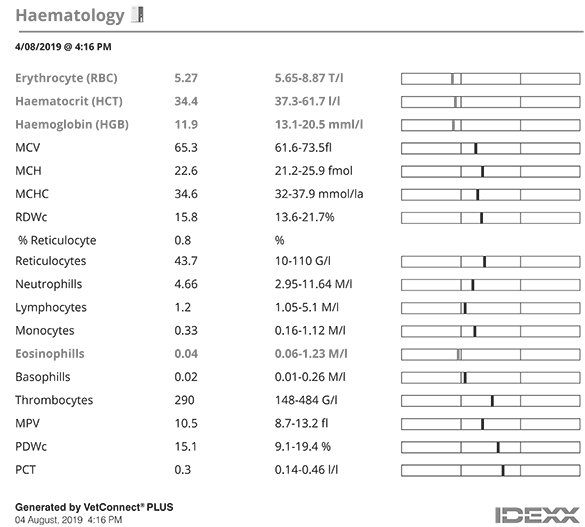 Sydney's haematology results on VetConnect PLUS.