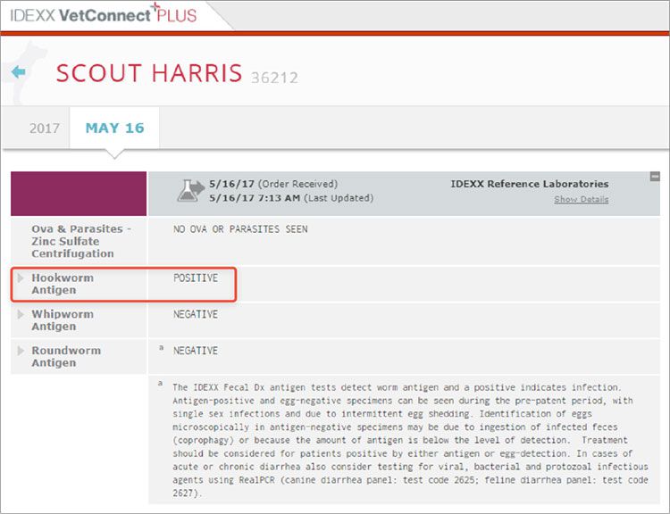 Screenshot of Scout's test results in VetConnect PLUS