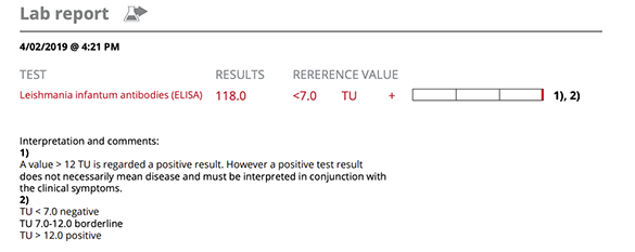 Screenshot of Bella's lab report on Leishmania infactum antibodies