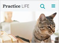 Screenshot of the Practice Life Blog with image of a cat on the home screen.