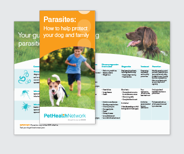 Front cover and inside spread of the parasite screening brochure titled "Parasites: how to protect your dog and family" from Pet Health Network.