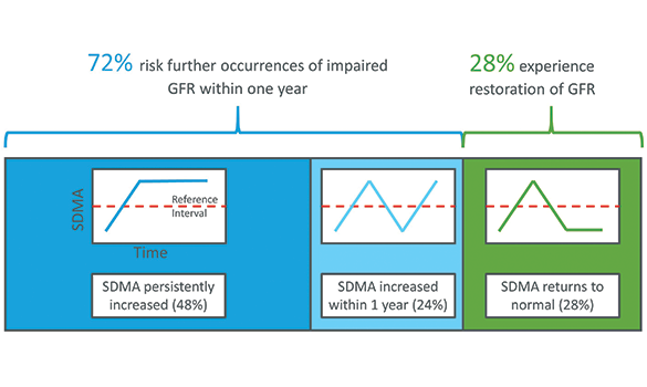 72% of cats and dogs with a mildly increased SDMA concentration have another increased SDMA concentration within 1 year