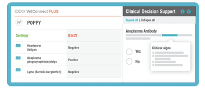 Clinical decision support screen in VetConnect PLUS software
