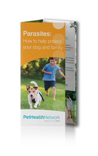 Parasite screening brochure from PetHealth Network