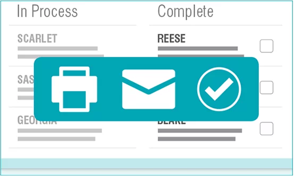 VetConnect Plus diagnostic results with option to email or print.