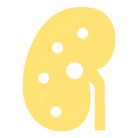 Icon silhouette of a kidney with urolithiasis