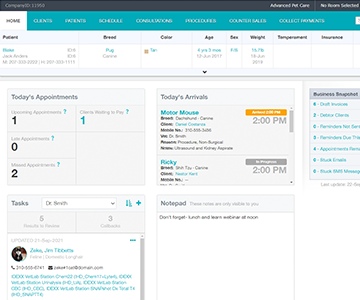 Neo Software practice dashboard.