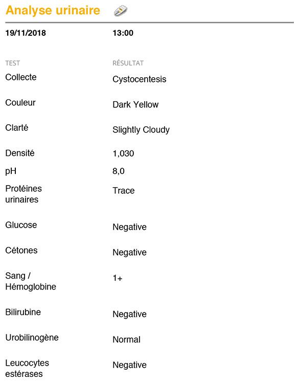 Capture d'écran du rapport d'analyse d'urine