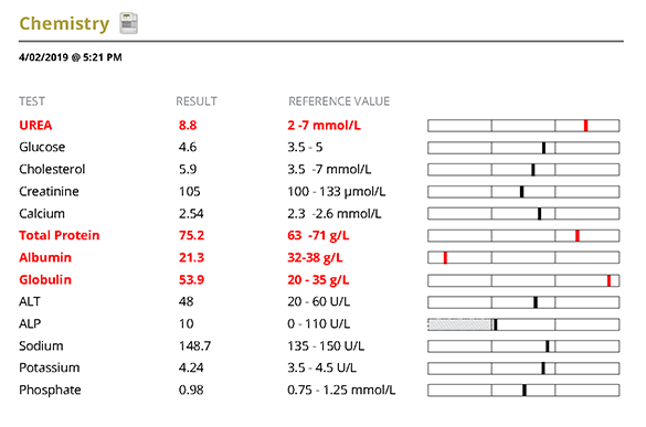 Screenshot of Bella's chemistry report