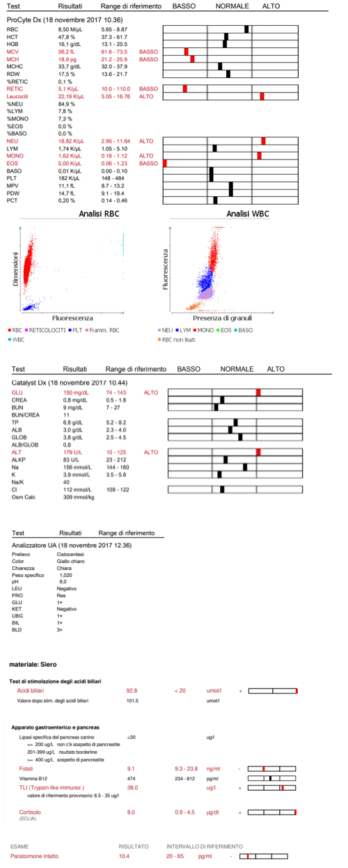 Graph of test results for Yoshi the dog.