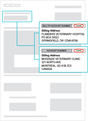 Find your IDEXX account number