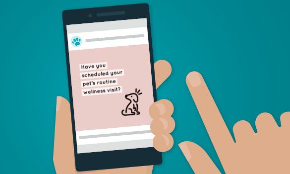 A Instagram post on a smartphone that says "have you scheduled your pet's routine wellness visit?" with a black dog in lower right hand corner.