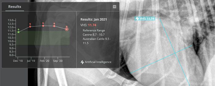 Quiz: Calculate the Vertebral Heart Scale