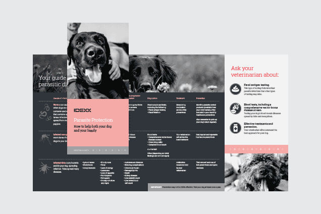 Parasite screening brochure.